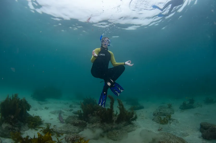 Diver floating above restored marine habitat in clear coastal water